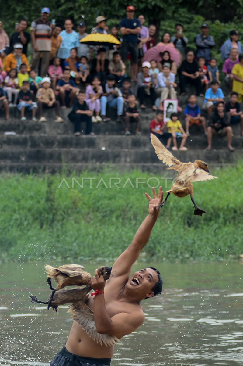 Tradisi lomba tangkap bebek