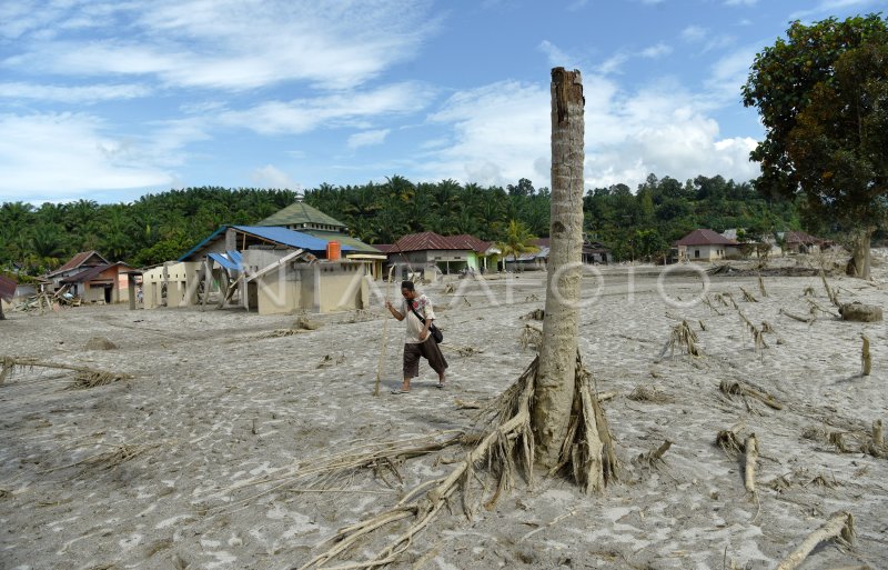 DAMPAK BANJIR BANDANG DI PETAMBUA | ANTARA Foto