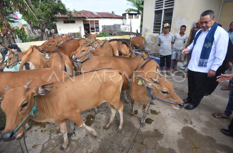 Optimalisasi Dana Desa untuk Membangun Desa yang Berdaya