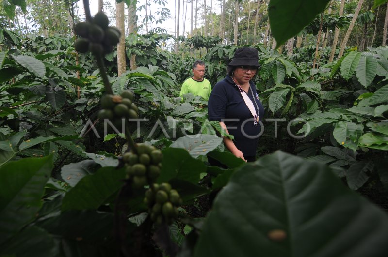 PENGEMBANGAN DESA WISATA EDUKASI BERBASIS MASYARAKAT | ANTARA Foto