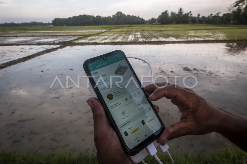 PEMANFAATAN TEKNOLOGI DIGITAL DI PERTANIAN | ANTARA Foto