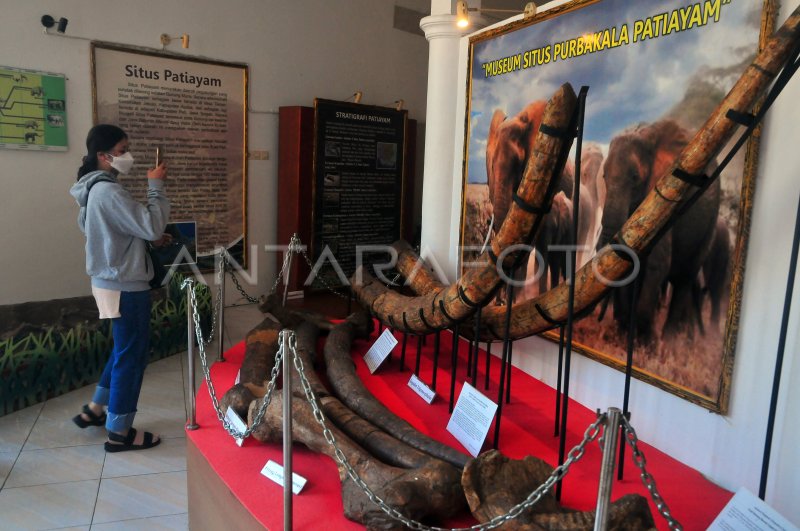 Museum situs purbakala Patiayam