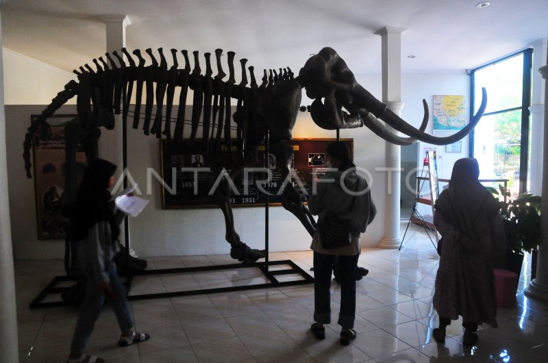 Museum situs purbakala Patiayam