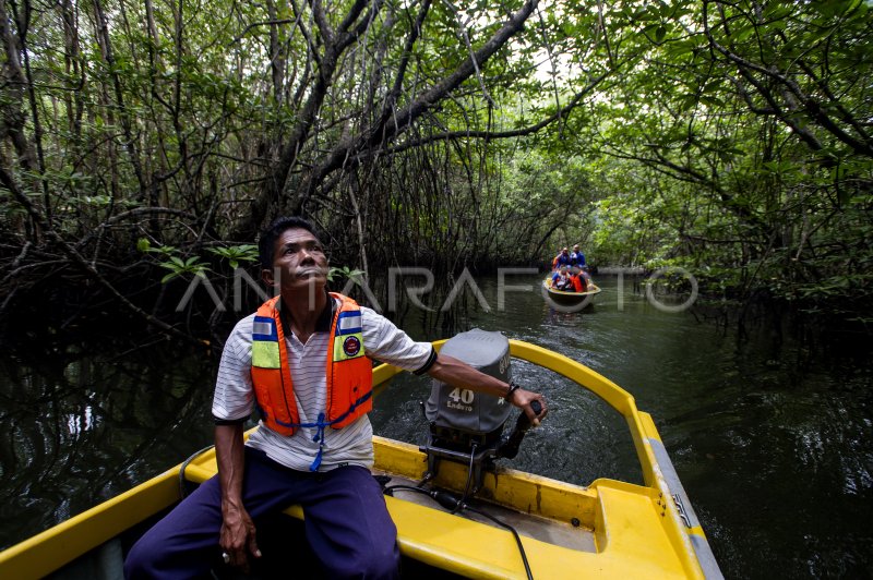 EKOWISATA HUTAN BAKAU BINTAN | ANTARA Foto