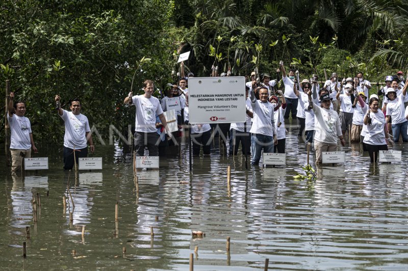 Ykan Bersama Hsbc Indonesia Tanam Mangrove Di Sm Muara Angke Antara Foto