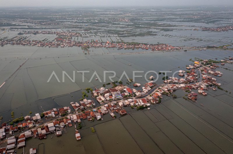 Dampak Rob Di Pesisir Kecamatan Sayung Demak Antara Foto