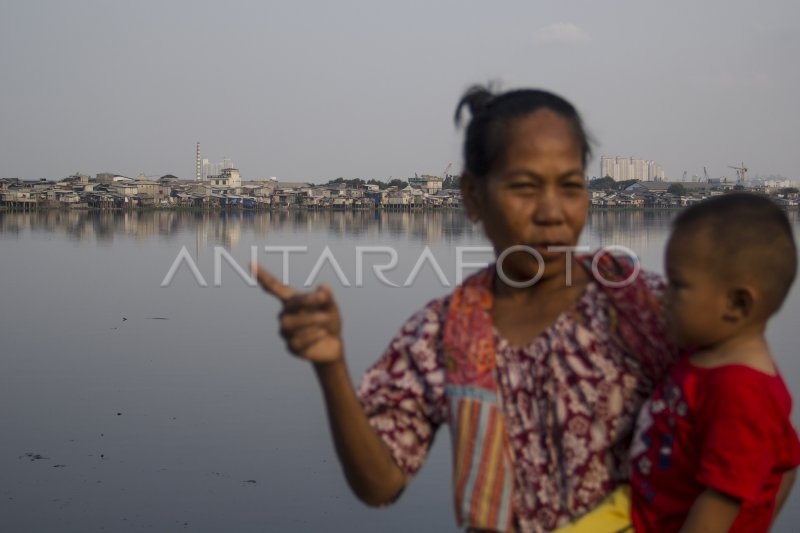 Penggusuran Pemukiman Sekitar Waduk Pluit Antara Foto