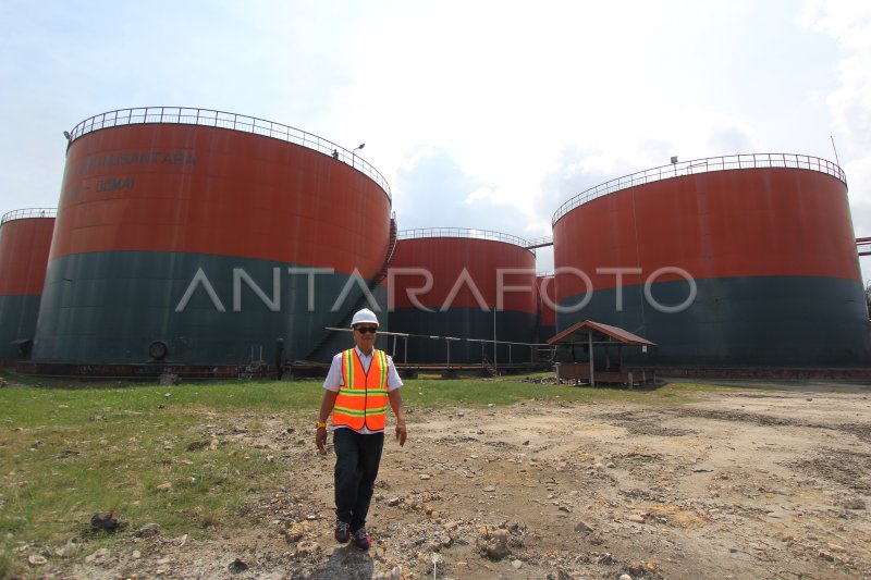 PRODUKSI MINYAK SAWIT PERUSAHAAN NEGARA | ANTARA Foto