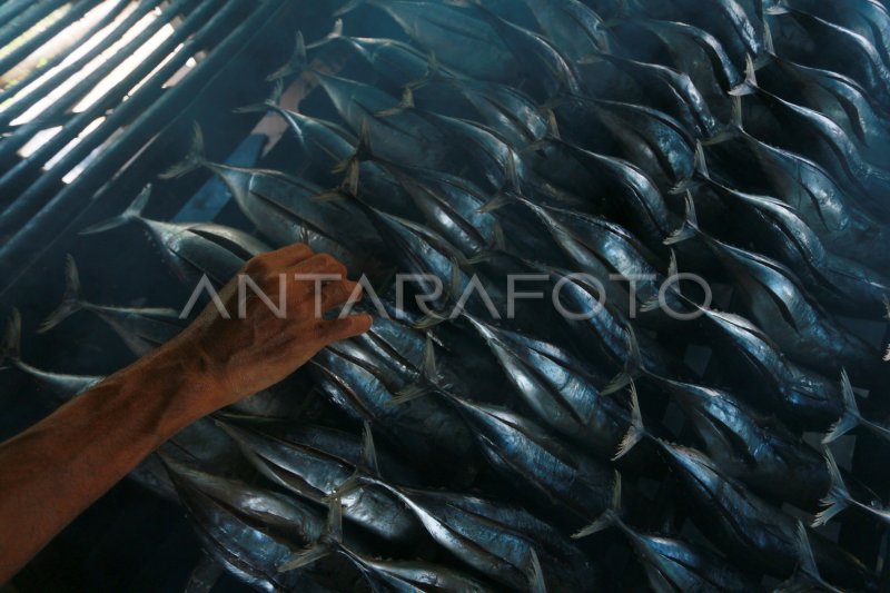 Produksi Ikan Fufu Terkendala Bahan Baku Antara Foto