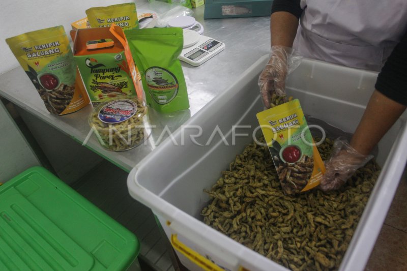 Produksi Keripik Ikan Saluang Oleh Oleh Khas Kalteng Antara Foto