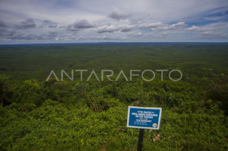 KAWASAN IKN NUSANTARA | ANTARA Foto