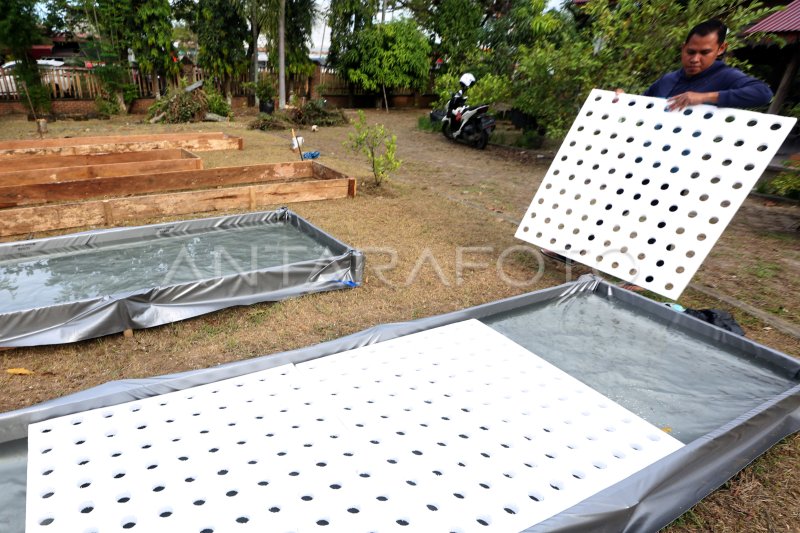 Solusi Praktis: Hidroponik Rakit Apung untuk Sayuran Daun Segar Solusi Praktis: Hidroponik Rakit Apung untuk Sayuran Daun Segar