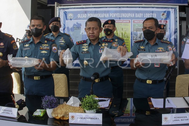 TNI AL GAGALKAN PENYELUNDUPAN BENIH BENING LOBSTER | ANTARA Foto