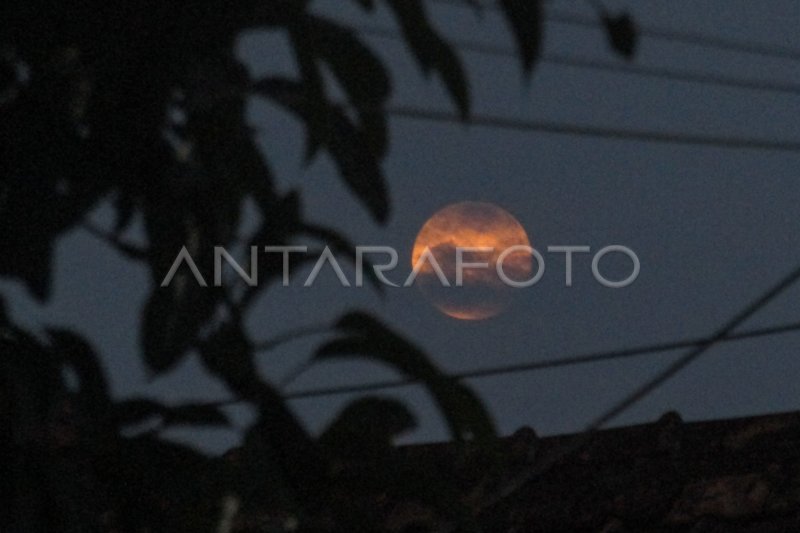 Fenomena supermoon stroberi antara foto