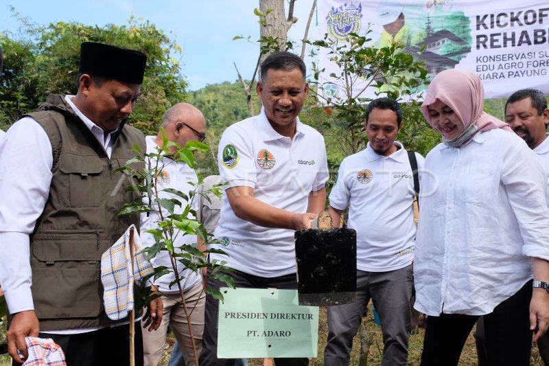 REHABILITASI DAS DI JAWA BARAT  ANTARA Foto