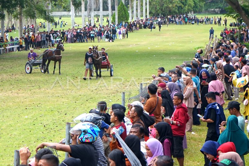 PACUAN KUDA GEROBAK DI GORONTALO