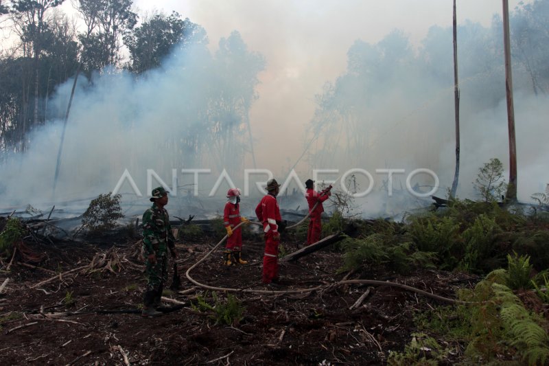 Kebakaran hutan gambut di Sumbar