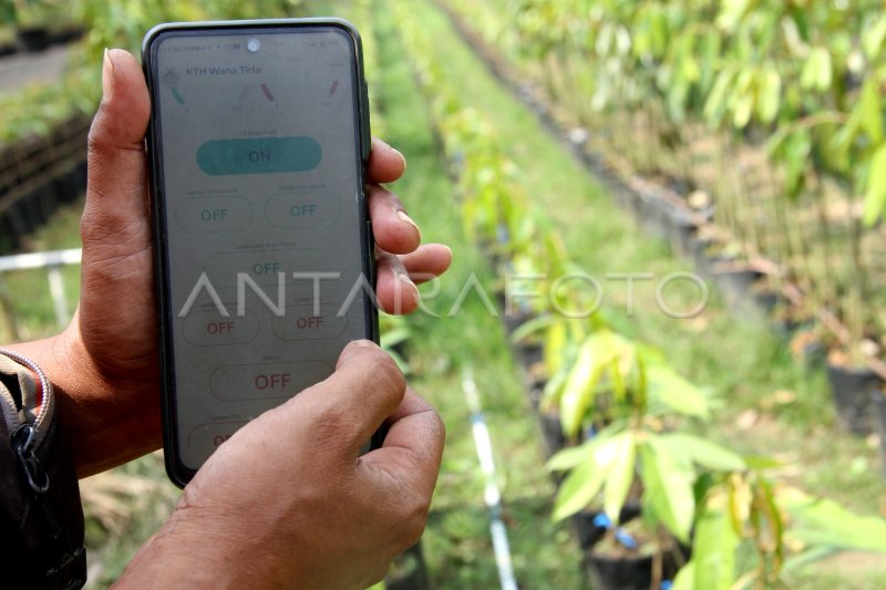 Penerapan Teknologi Digital Dalam Pertanian | ANTARA Foto