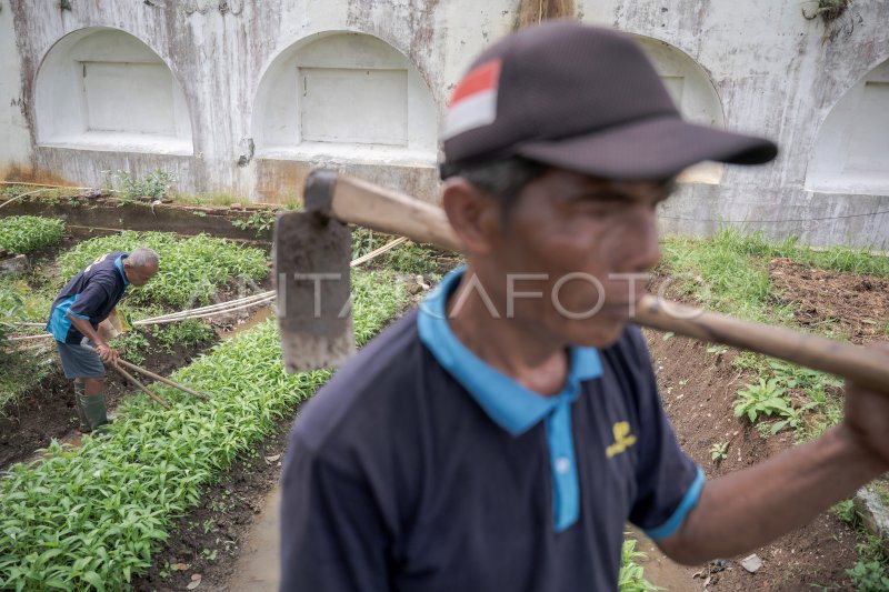 Residential sword of iron jeruji back