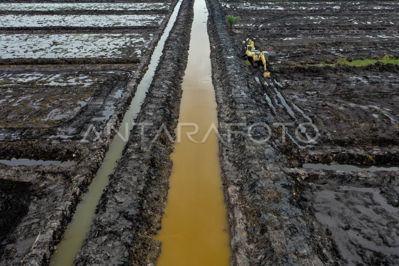 Studying hope through Print Sawah Rakyat