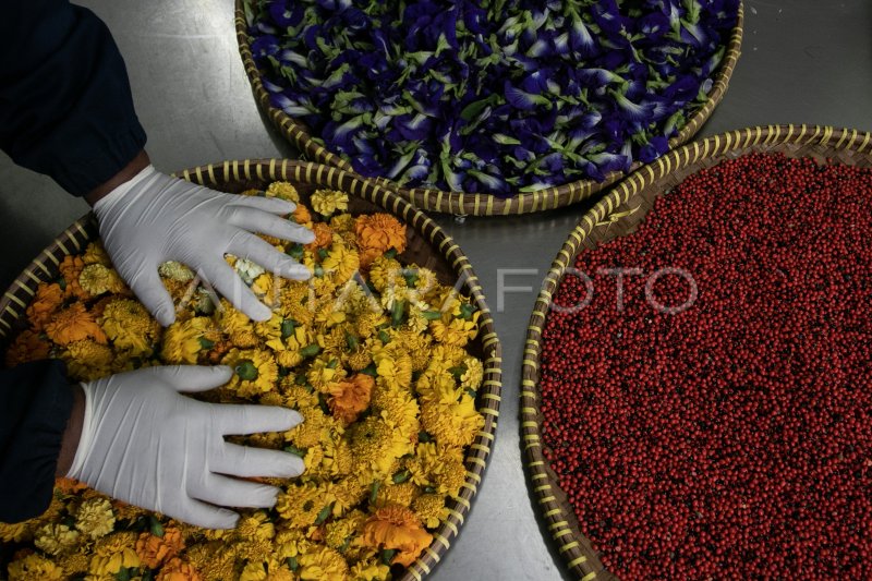 Explore Hortus Medicus medical attractions