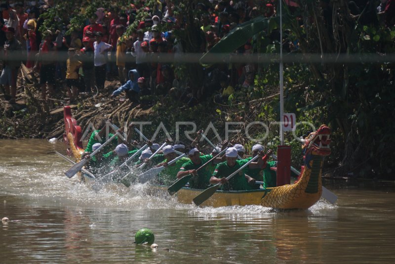 TRADISI LOMBA PERAHU DAYUNG TRADISIONAL | ANTARA Foto