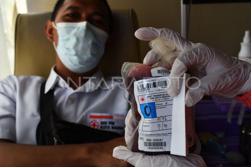 HARI DONOR DARAH SEDUNIA | ANTARA Foto