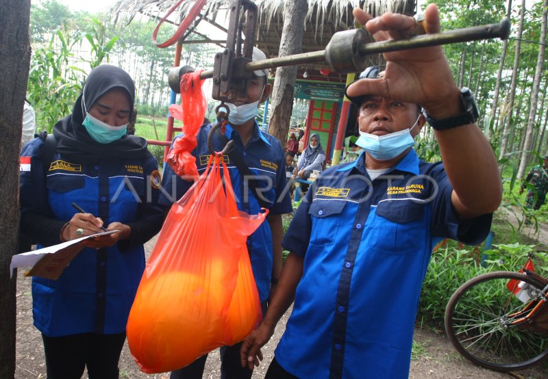 Cerita tentang Suksesnya Pemanfaatan Lahan Tidur Menjadi Sawah Produktif