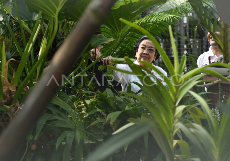 Peresmian rumah kaca Anggrek di Kebun Raya Bogor