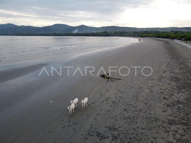 Wisata Pantai Tercemar Limbah Pertambangan Nikel 