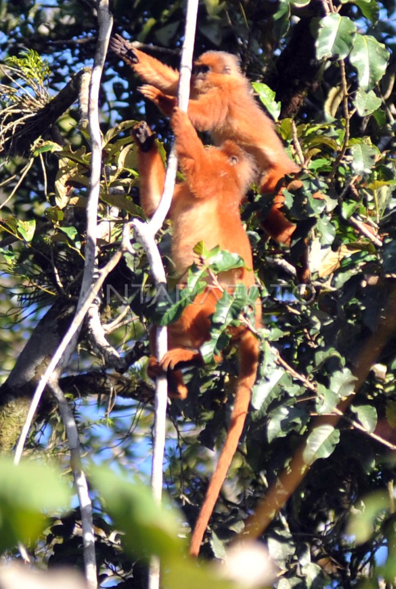 Eski semiz ayol seks video porno eshak Mushuk pornosini tomosha qiling